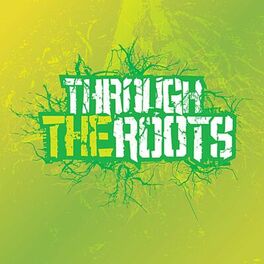 Album cover of Through the Roots