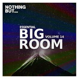 Album cover of Nothing But... Essential Big Room, Vol. 14