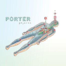 Album cover of Pájaros