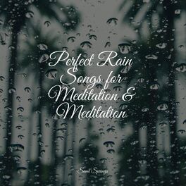 Album cover of Perfect Rain Songs for Meditation & Meditation