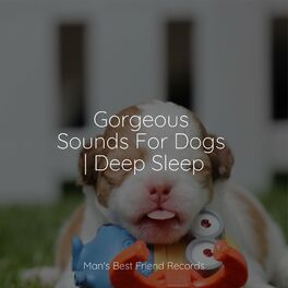 Album cover of Light Sounds | Relaxation For Dogs