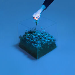 Album cover of What's It Gonna Take
