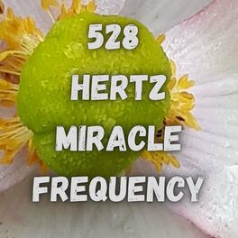 Album cover of Solfeggio 528 Hertz Miracle Frequency for Meditation
