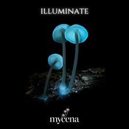 Album cover of Mycena Media - Illuminate