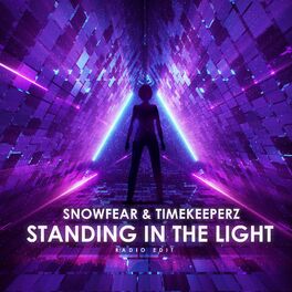 Album cover of Standing In The Light