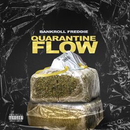 Album cover of Quarantine Flow