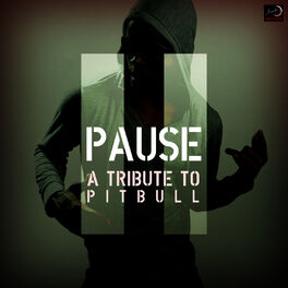 Album cover of Pause - A Tribute to Pitbull