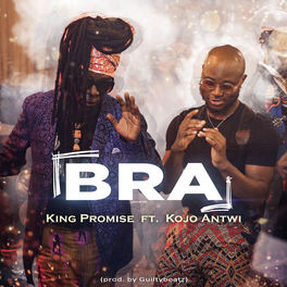 Album cover of Bra
