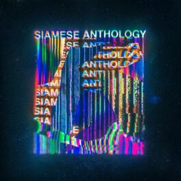 Album cover of Siamese Anthology V