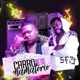 Album cover of Carro Bicho Mamatorio