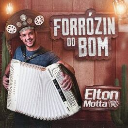 Album cover of Forrózin do Bom