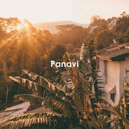 Album cover of Panavi
