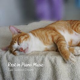 Album cover of Rest in Piano Music: Cats Sweetest Dreams