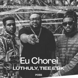 Album cover of Eu Chorei