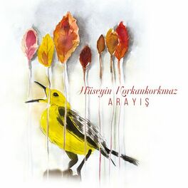 Album cover of Arayış