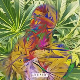 Album cover of 4:20 SPECIAL