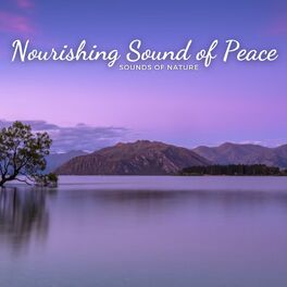 Album cover of Sounds of Nature: Nourishing Sound of Peace