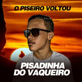 Album cover of O Piseiro Voltou