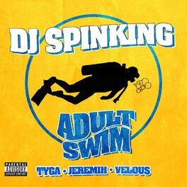 Album cover of Adult Swim (feat. Tyga, Jeremih, & Velous)