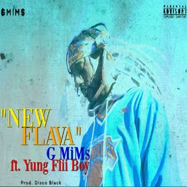 Album cover of New Flava (feat. Yung Flii Boy)