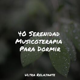 Album cover of 40 Serenidad Musicoterapia Para Dormir