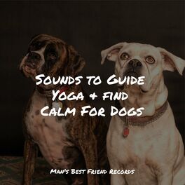 Album cover of Sounds to Guide Yoga & find Calm For Dogs