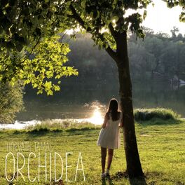 Album picture of Orchidea
