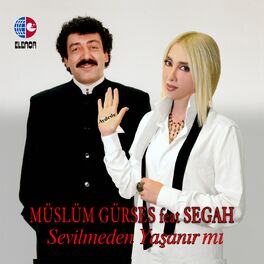 Album cover of Sevilmeden Yaşanır Mı