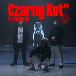 Album cover of CZARNY KOT