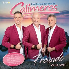 Album cover of Freunde wie wir