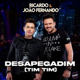 Album cover of Desapegadim (Tim Tim)
