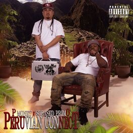 Album cover of Peruvian Connect