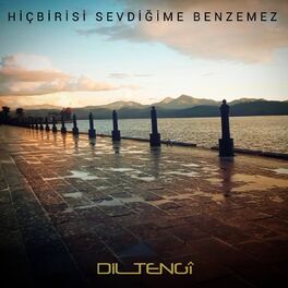 Album cover of Hiçbirisi Sevdiğime Benzemez