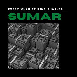 Album cover of Sumar (feat. King Charles)