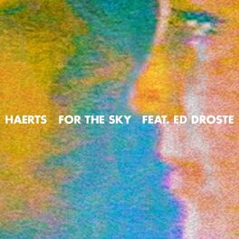 Album cover of For the Sky