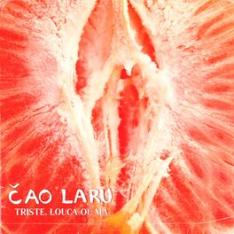 Album cover of Triste, Louca ou Má