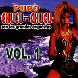 Album cover of Puro Chucu Chucu Volume 1