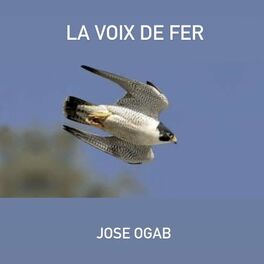 Album cover of La voix de fer