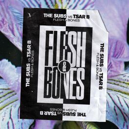 Album cover of Flesh & Bones