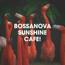 Album cover of Bossanova Sunshine Cafe!