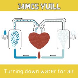 Album cover of Turning Down Water For Air (Deluxe Edition)