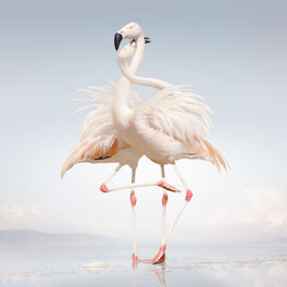 Album cover of Green Language