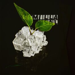 Album cover of Semilla de sal