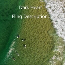 Album cover of Fling Description