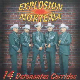 Album cover of 14 Detonantes Corridos