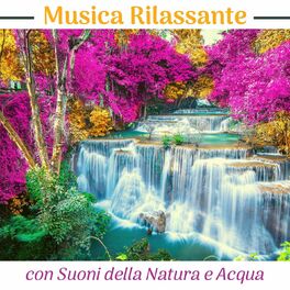 Album cover of Musica rilassante con suoni della natura e acqua: musica per meditare, fare yoga, rilassarsi, dormire