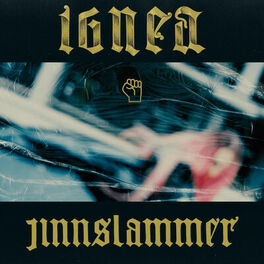 Album cover of Jinnslammer