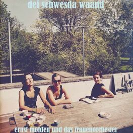 Album cover of dei schwesda waand