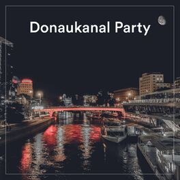 Album cover of Donaukanal Party