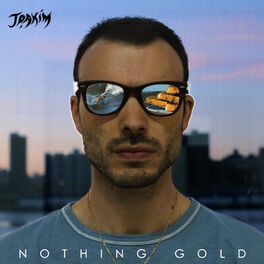 Album cover of Nothing Gold